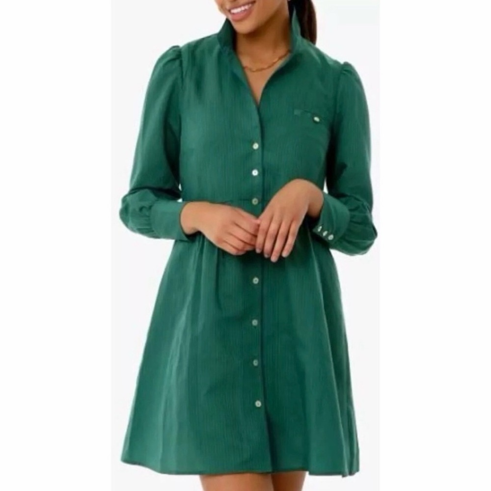 TUCKERNUCK Florence green and blue striped shirt dress NWT